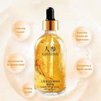 GINSENG X 2