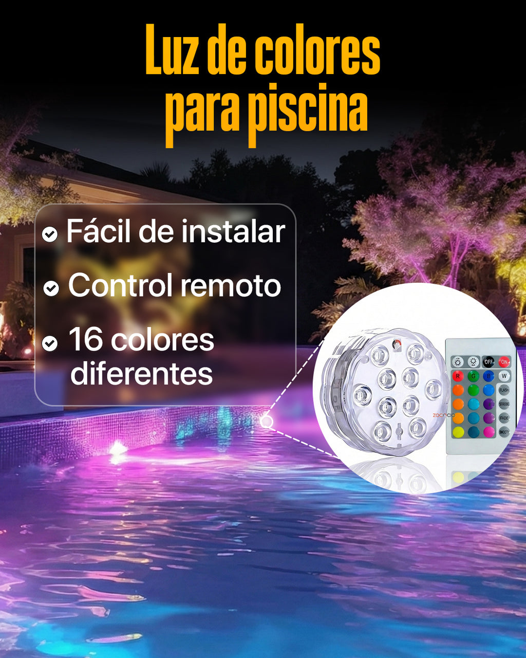 🌈 Convierte Tu Acuario en un Espectáculo de Colores RGB.co