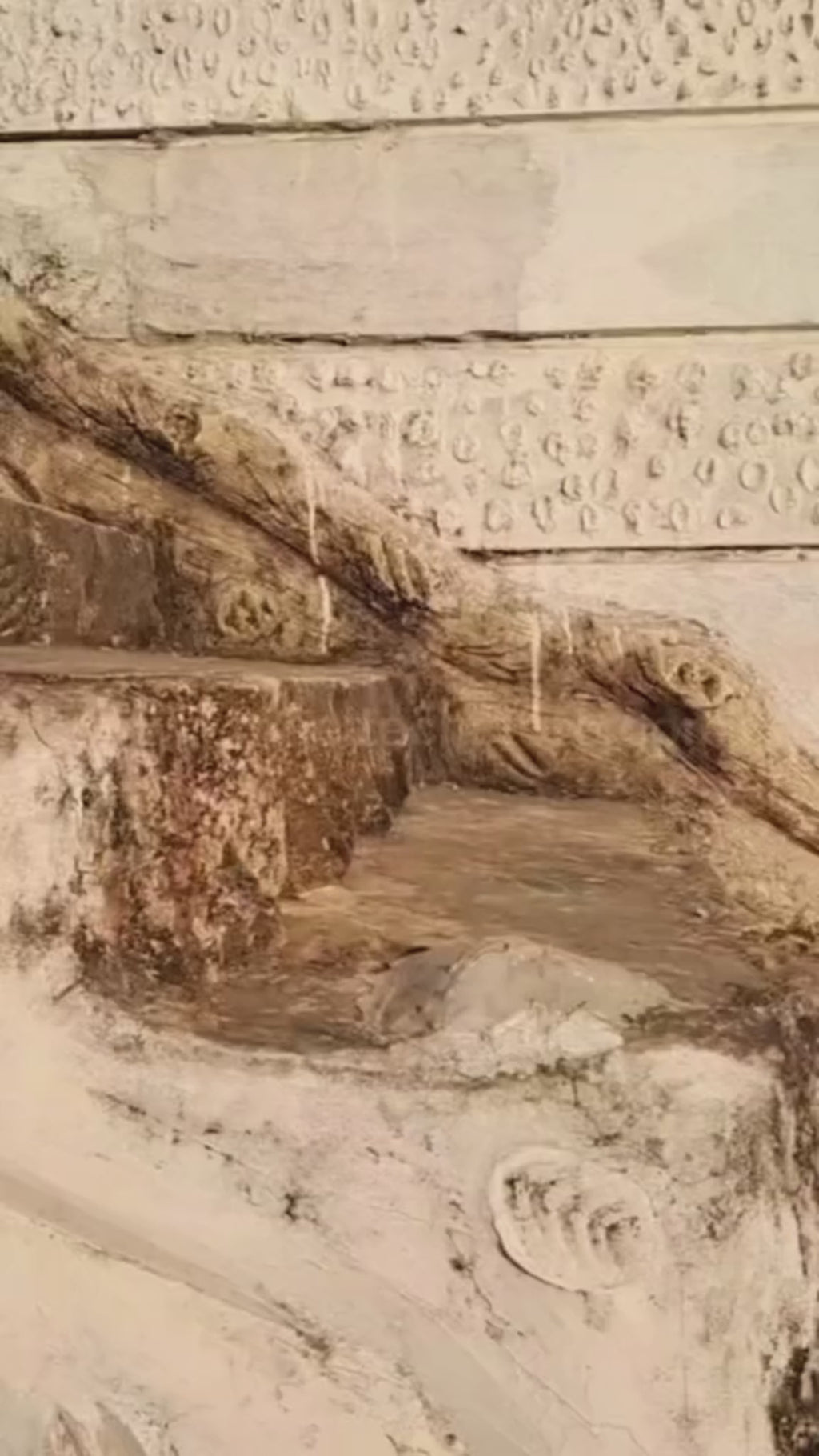 Plantilla Pies Silicona Gel Talonera